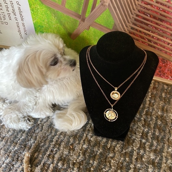 Gold Coin Face Layered Gold Fashion Necklace - Picture 8 of 12